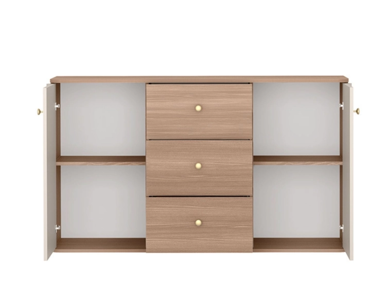 Elegancka komoda do salonu z szufladami kaszmir/bolivar SORINA