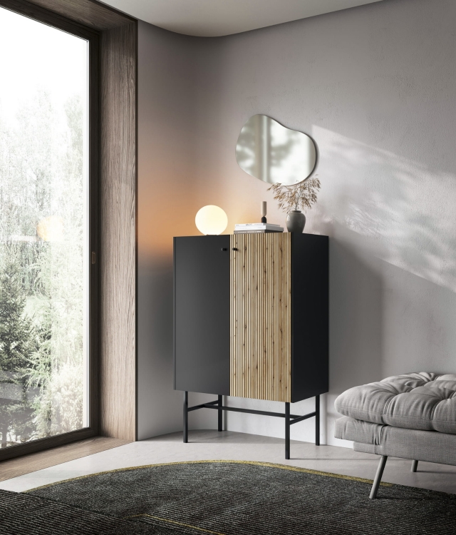 Dwudrzwiowa witryna czarna z lamelami do salonu AVORS